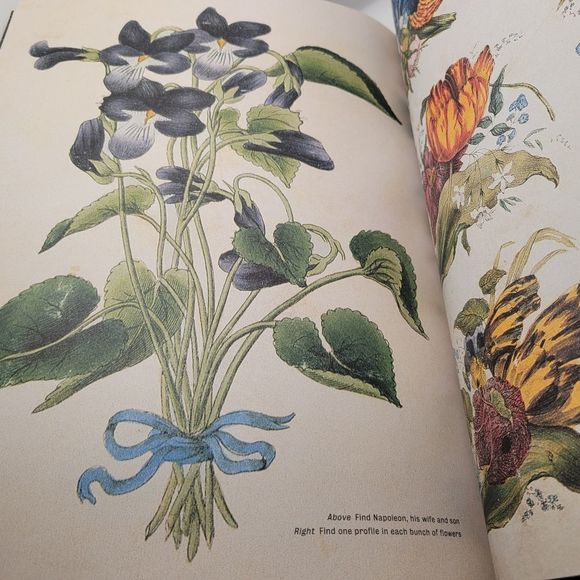 The Playful Eye: An Album of Visual Delight Mind Puzzle Coffee Table Book - Picture 7 of 11